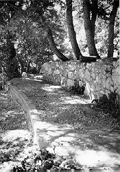 Alpine Walk