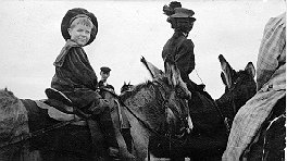 Visitors ride mules up the Mt. Wilson Toll Road past Heninger Flats to reach Wilson's Peak
