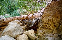 Mining debris litters the streambed