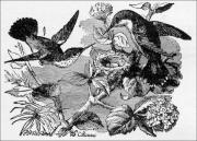 v3n2owl.jpg (20930 bytes)