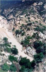 V4N1FORSALE.jpg (6960 bytes)