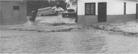v4n2flood69.jpg (14474 bytes)