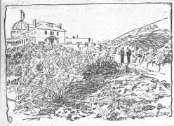 Early line drawing of Echo Mountain House